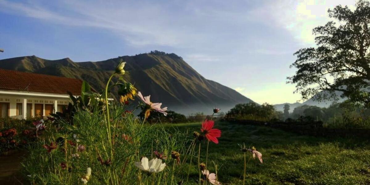 Nara Curated Compound: Santai di Rinjani dengan Rasa yang Menggoda